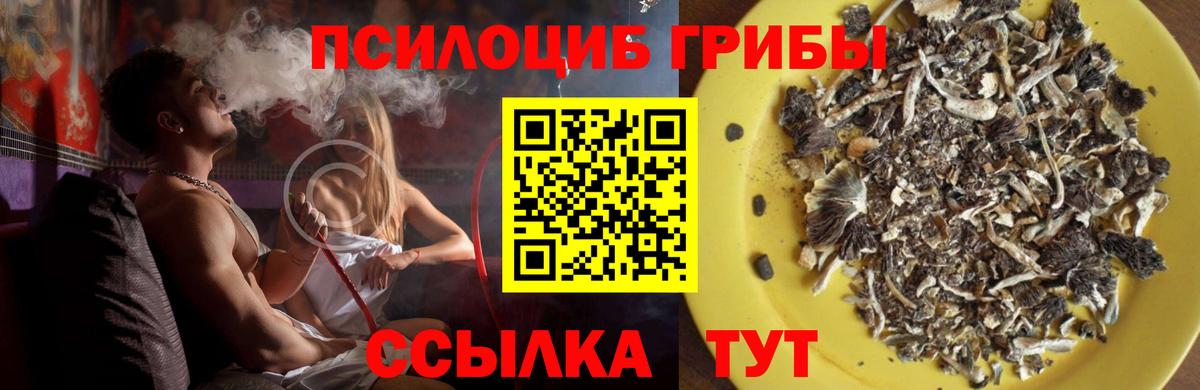 Апатиты  Псилоцибиновые грибы ЛСД  Псилоцибиновые грибы GOLDEN TEACHER  как найти наркотики  Вход с VPN 